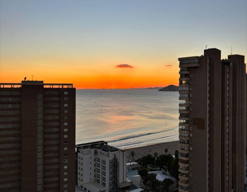 Sale - Studio - Rincon de Loix Llano - Benidorm