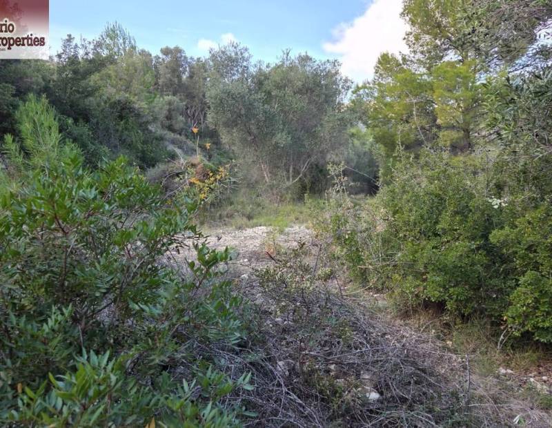 Sale - Plot of land - Beniarda