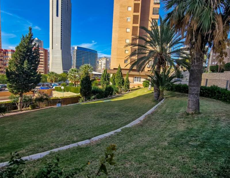 Vente - Appartement - Poniente - Benidorm