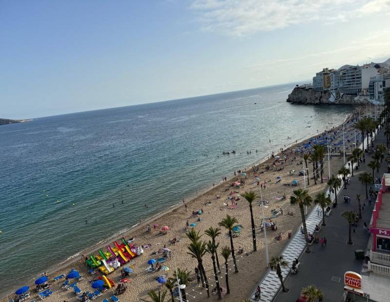 Alquiler - Piso - 1ª Linea - Benidorm