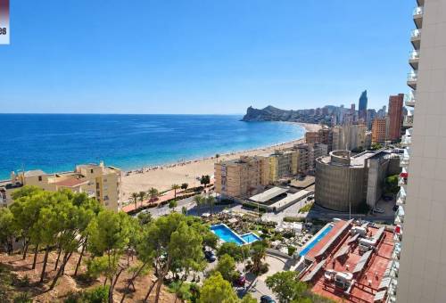 Apartamento - Alquiler - Playa de Poniente - Benidorm
