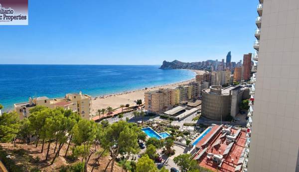 Appartement - De location - Playa de Poniente - Benidorm