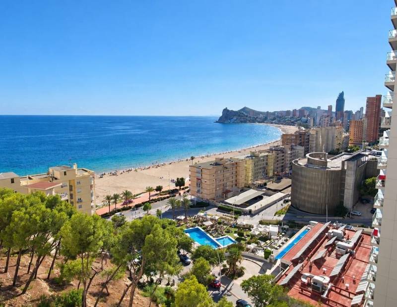 De location - Appartement - Playa de Poniente - Benidorm