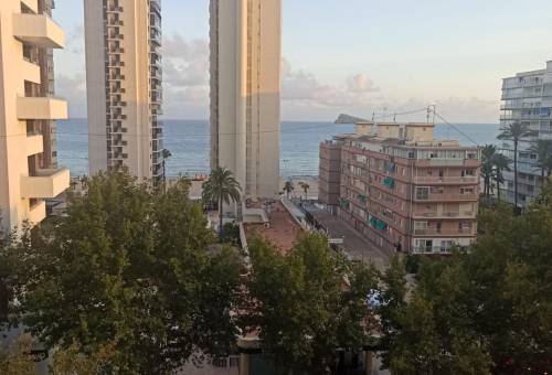 Estudio - Sale - Avenida del Mediterraneo - Benidorm