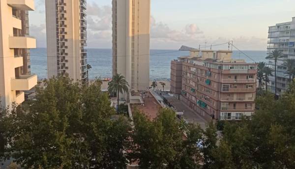 Studio - Sale - Avenida del Mediterraneo - Benidorm