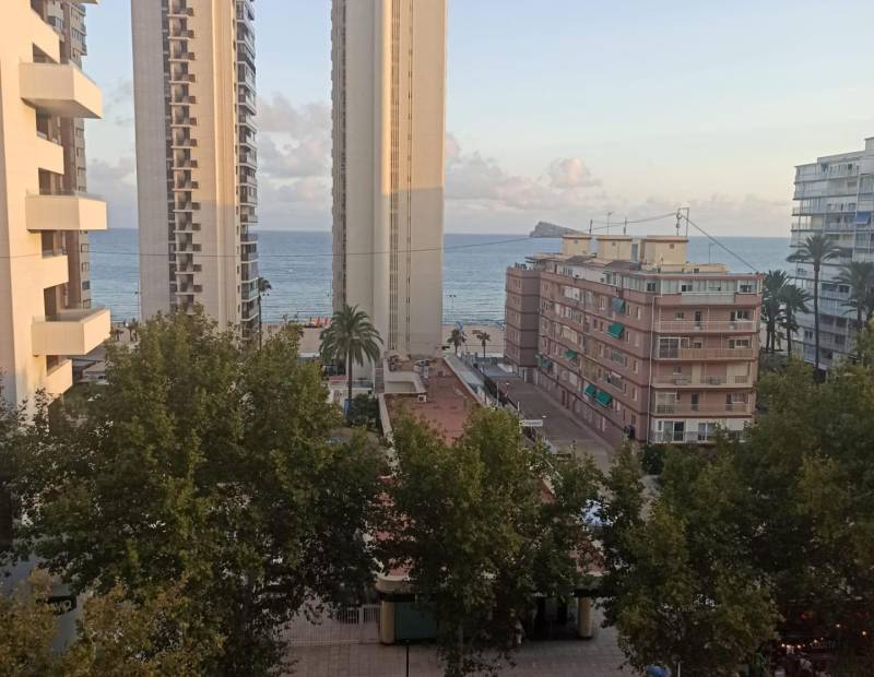 Sale - Studio - Avenida del Mediterraneo - Benidorm