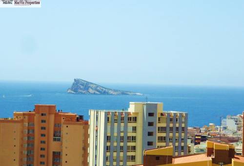 Estudio - Sale - Benidorm - Benidorm