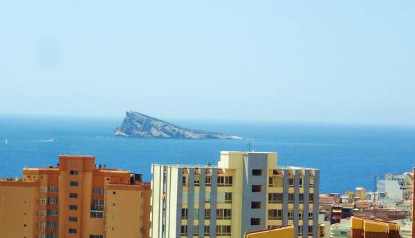 Studio - Sale - Benidorm - Benidorm