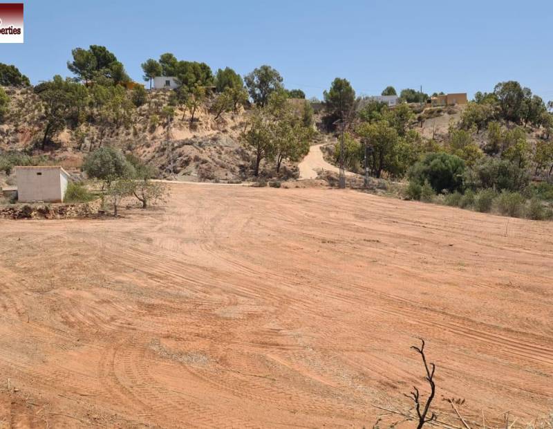 Vente - Terrain rural - Partida adzubia - Finestrat