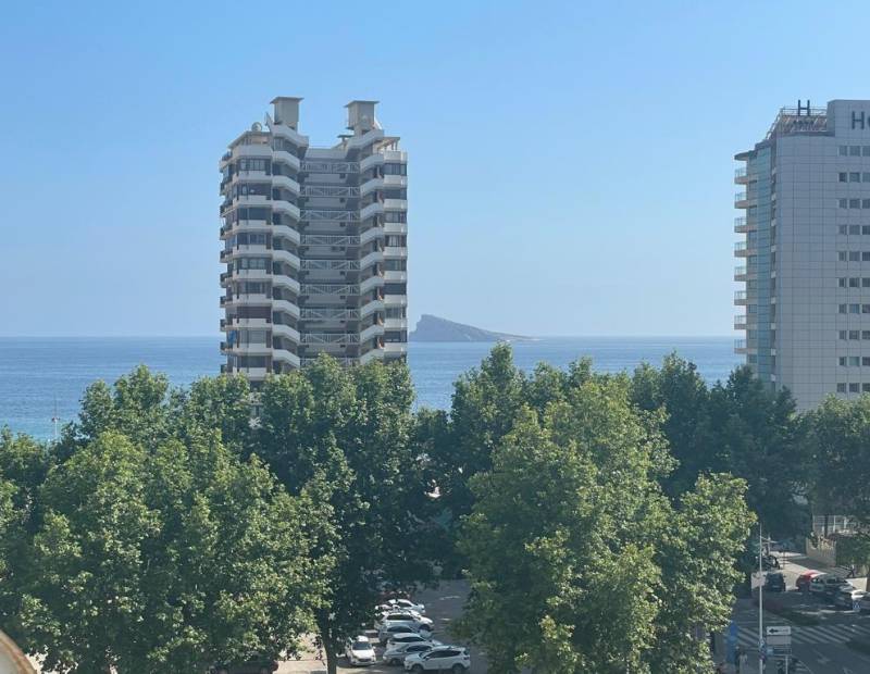 Vente - Appartement - Avenida del Mediterraneo - Benidorm