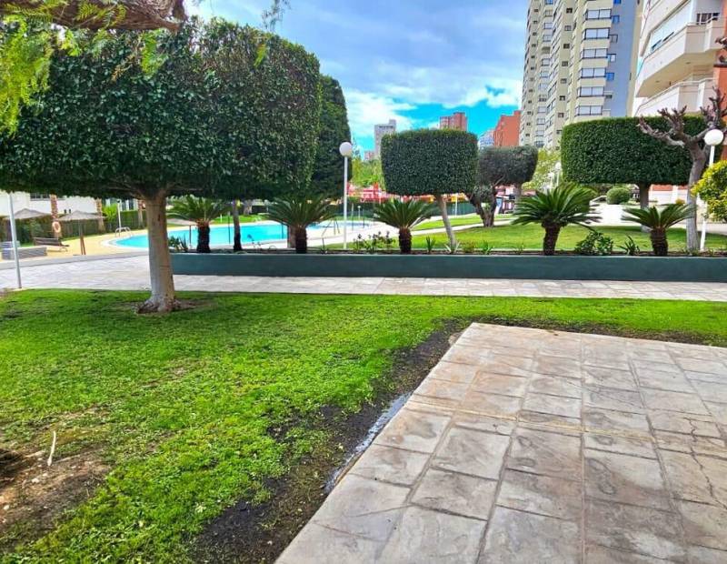 Sale - Apartment - Nuevos Juzgados - Benidorm