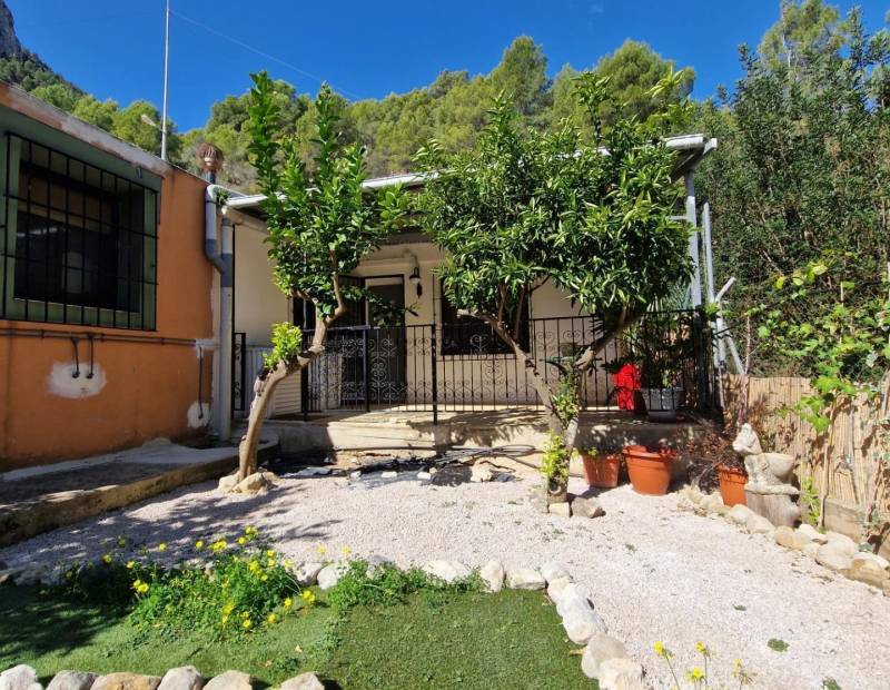 Vente - Propriété rurale - Campo - Bolulla