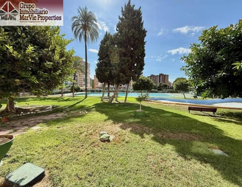 Продажа - квартира - Plaza de Toros - Benidorm
