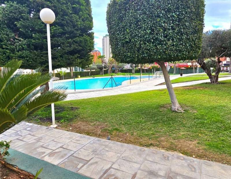 Sale - Apartment - Nuevos Juzgados - Benidorm