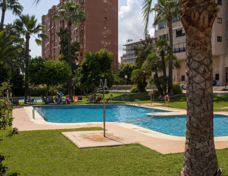 Vente - Appartement - Nuevos Juzgados - Benidorm