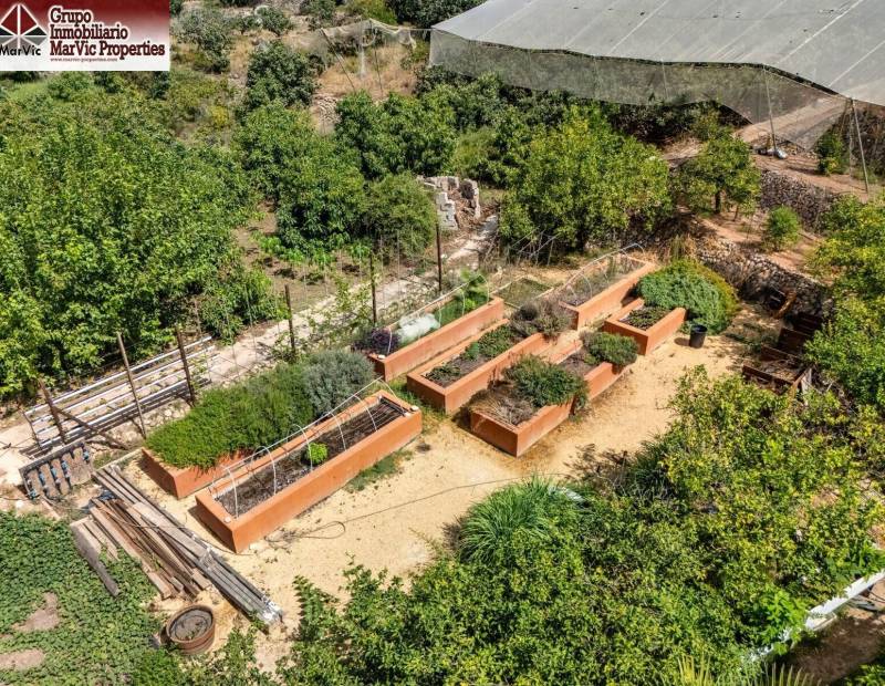 Vente - Appartement - Comunidad valenciana - Callosa d'en Sarrià