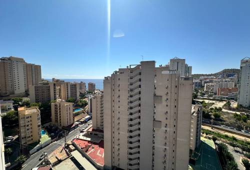 Estudio - Venta - Finestrat - Finestrat