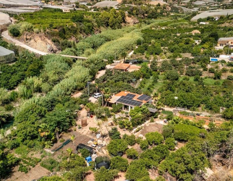 Vente - Appartement - Comunidad valenciana - Callosa d'en Sarrià