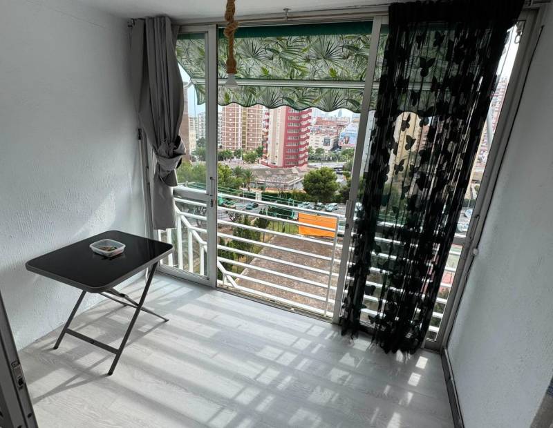 Vente - Studio - Juzgados - Benidorm