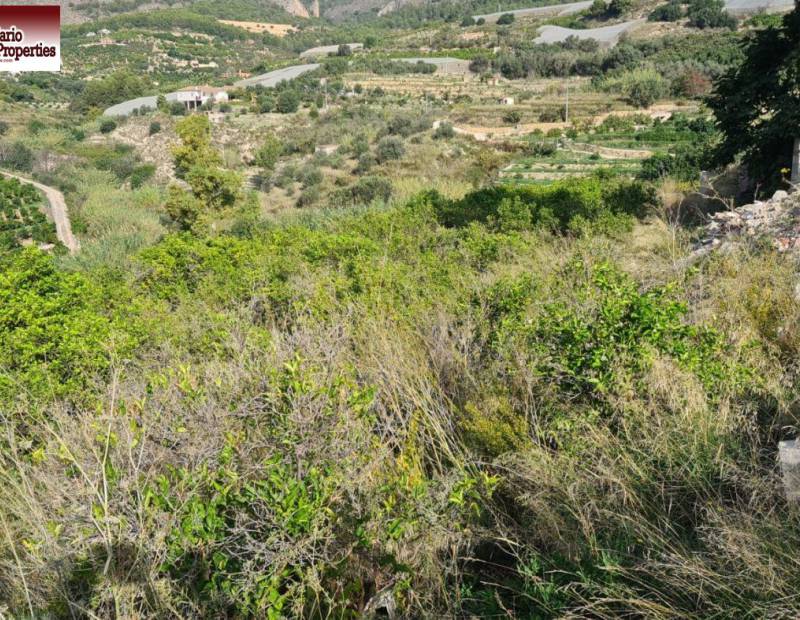Vente - Terrain rural - Callosa d En Sarria - Callosa d'en Sarrià