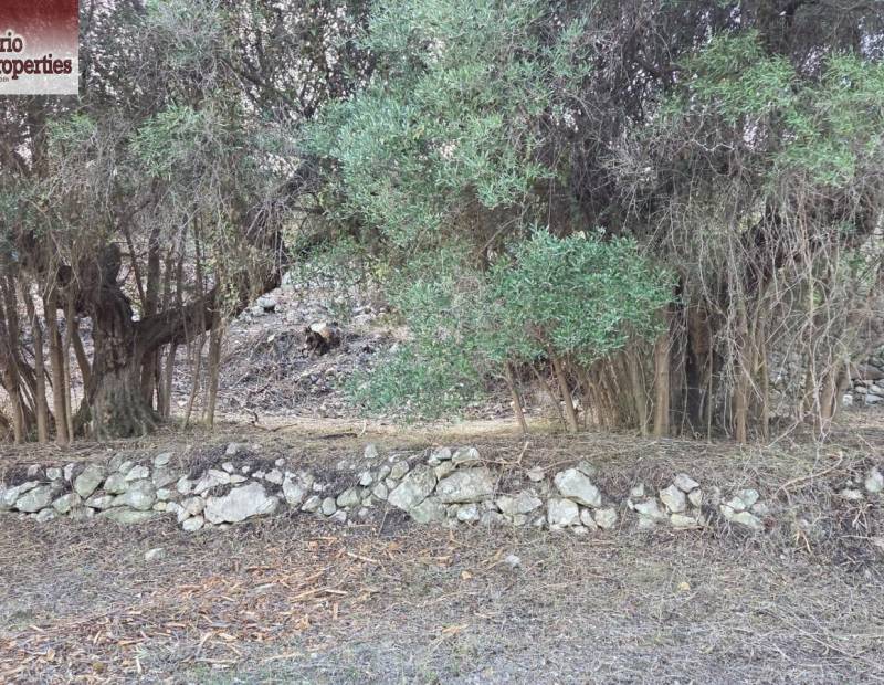 Sale - Plot of land - Beniarda