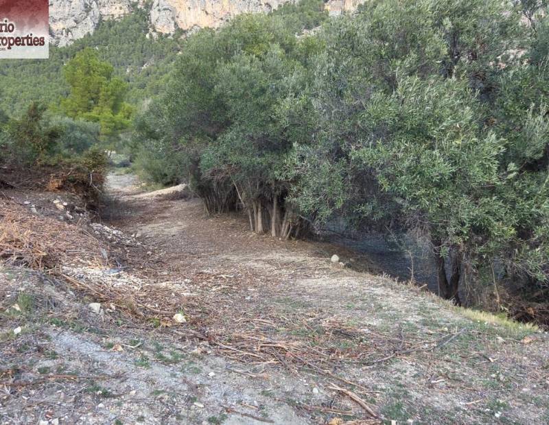 Sale - Plot of land - Beniarda