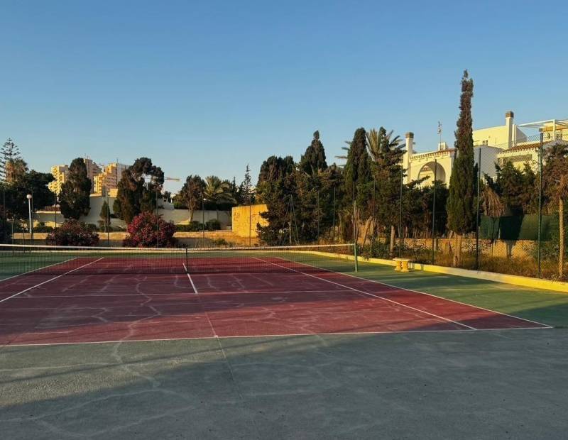 Продажа - дуплекс - Playa de la mata - Torrevieja