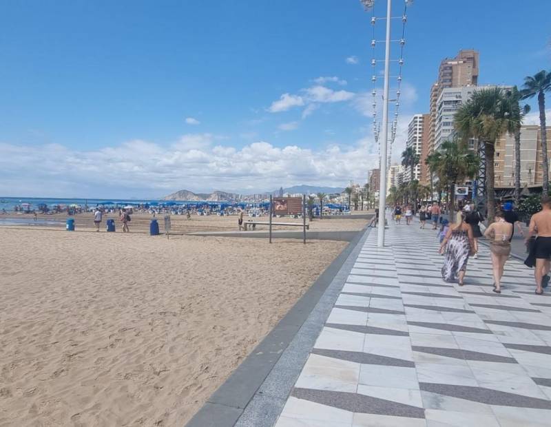 Venta - Estudio - Avenida del Mediterraneo - Benidorm