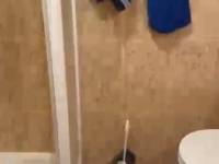 https://fotos15.apinmo.com/1156/29598464/9-6.jpg