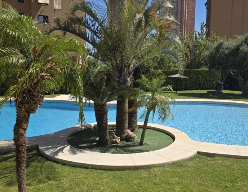 Vente - Appartement de ville - Juzgados - Benidorm