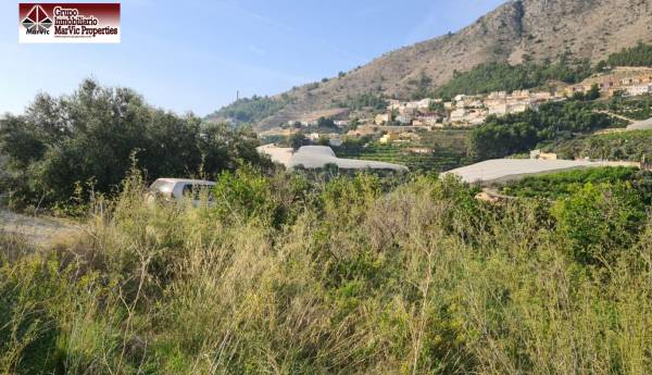 Propriété rurale - Vente - Callosa d En Sarria - Callosa d'en Sarrià