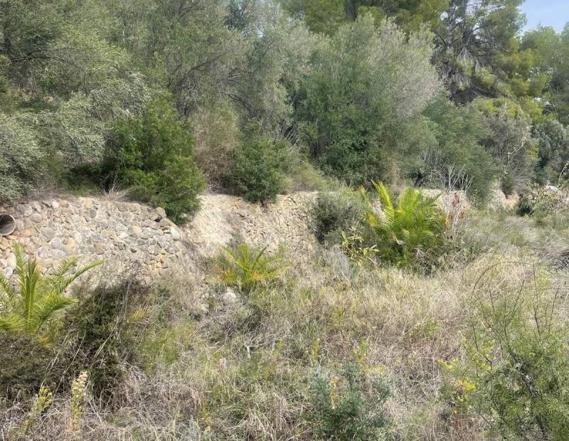 Продажа - Дом с земельным участком - Alfas del pi - l'Alfas del Pi