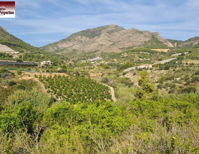 Sale - Rural Land - Callosa d En Sarria - Callosa d'en Sarrià