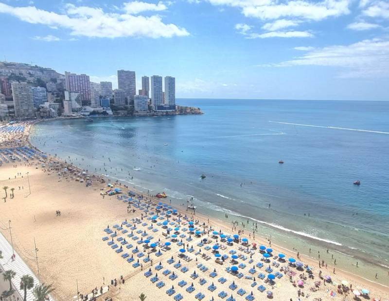 Venta - Estudio - Avenida del Mediterraneo - Benidorm