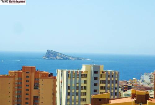 Estudio - Sale - Benidorm - Benidorm