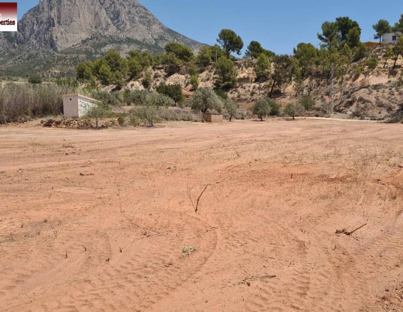 Vente - Terrain rural - Partida adzubia - Finestrat