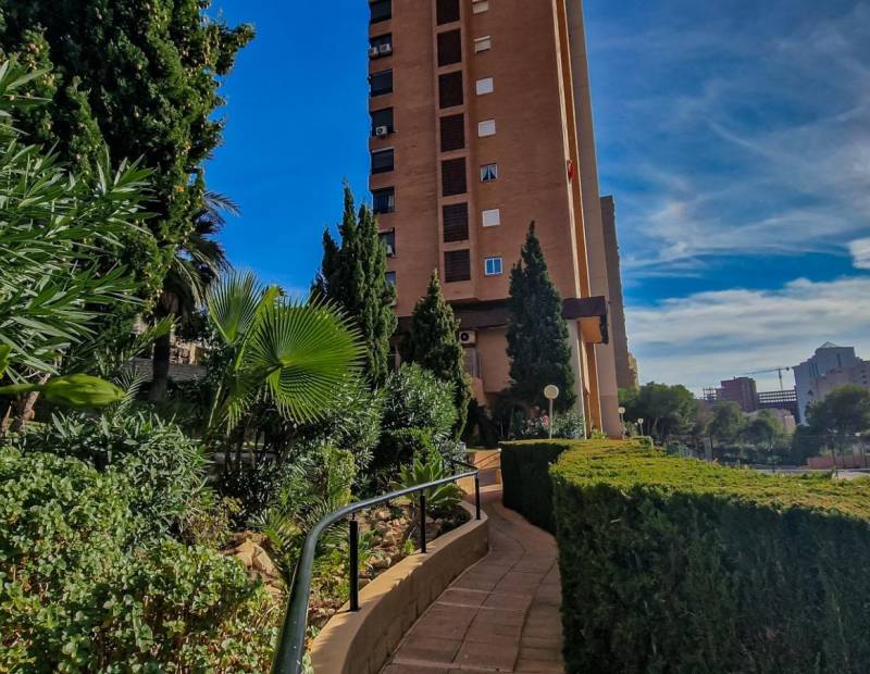 Vente - Appartement - Poniente - Benidorm