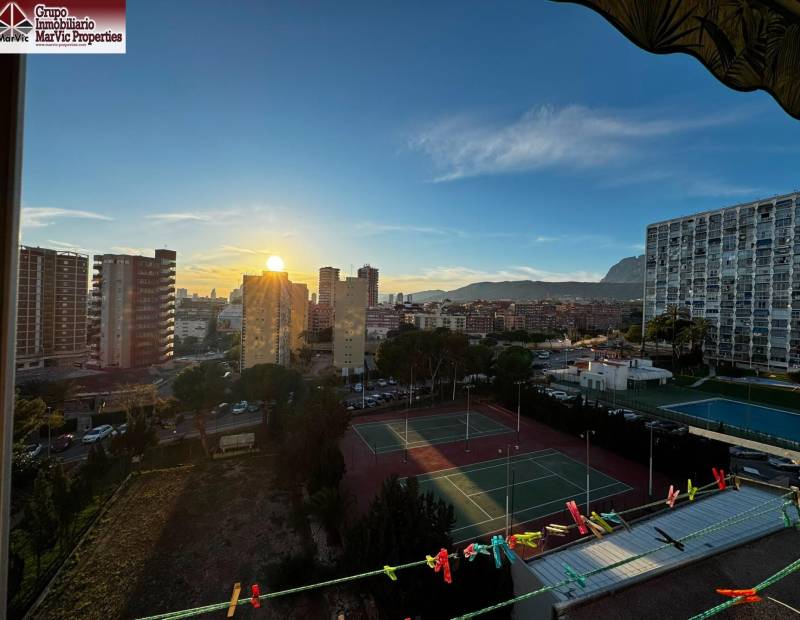 Vente - Studio - Juzgados - Benidorm