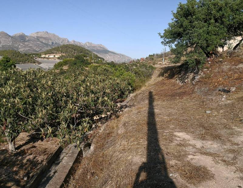 Sale - Rustic property - Tossalet - Polop