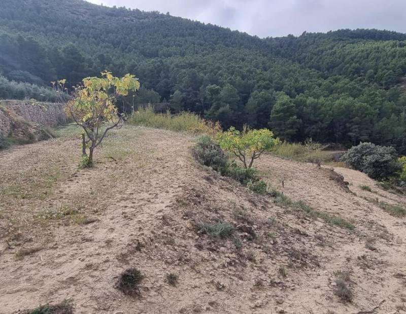 Vente - Maison de campagne - Comunidad valenciana - Orxeta