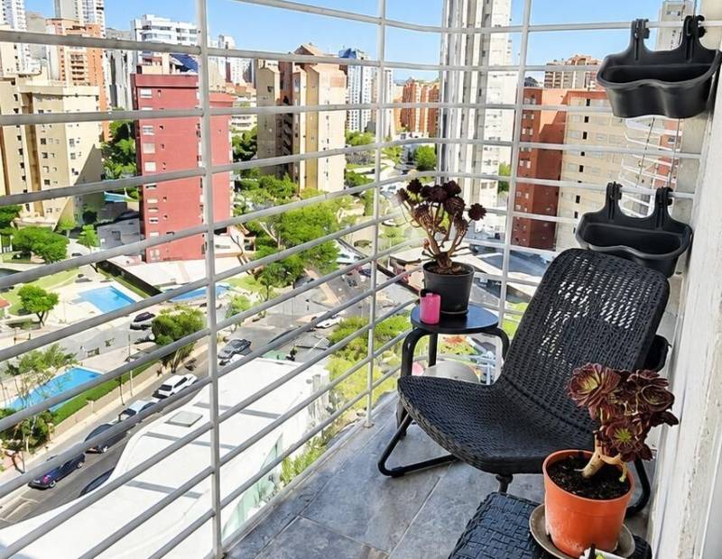 Venta - Estudio - Plaza de Toros - Benidorm