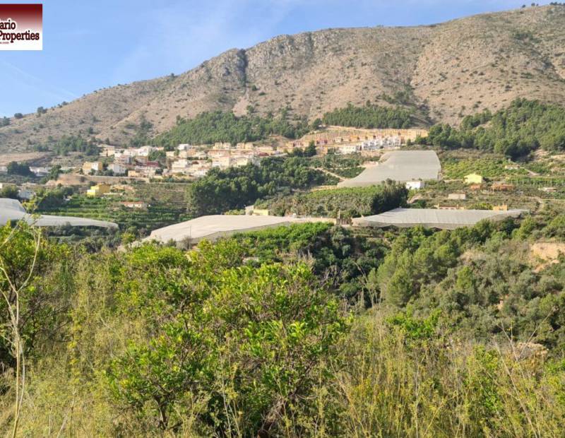 Vente - Terrain rural - Callosa d En Sarria - Callosa d'en Sarrià