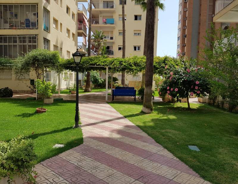 Sale - Flat - 1ª Linea - Benidorm