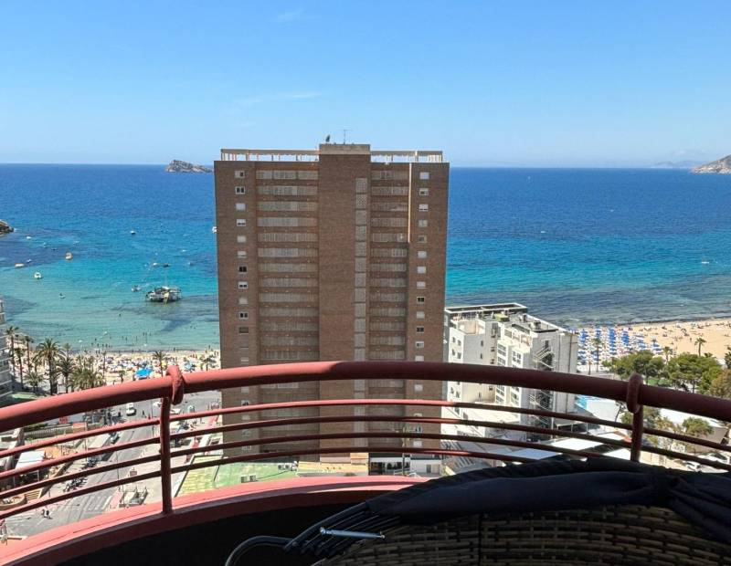Sale - Studio - Rincon de Loix Llano - Benidorm