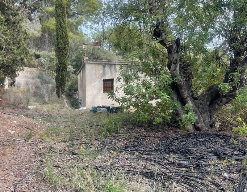 Продажа - Дом с земельным участком - Alfas del pi - l'Alfas del Pi