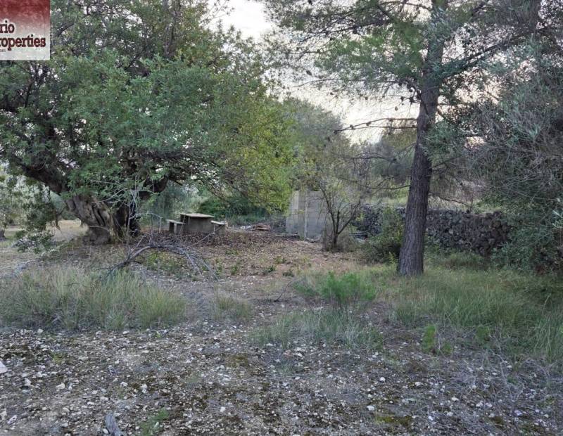 Sale - Plot of land - Beniarda