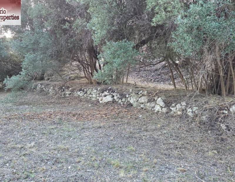 Sale - Plot of land - Beniarda