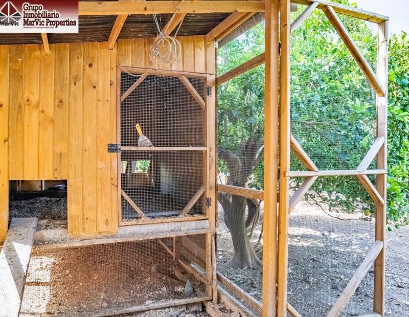 Vente - Appartement - Comunidad valenciana - Callosa d'en Sarrià