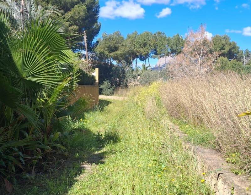 Sale - House with land - Levante - Benidorm
