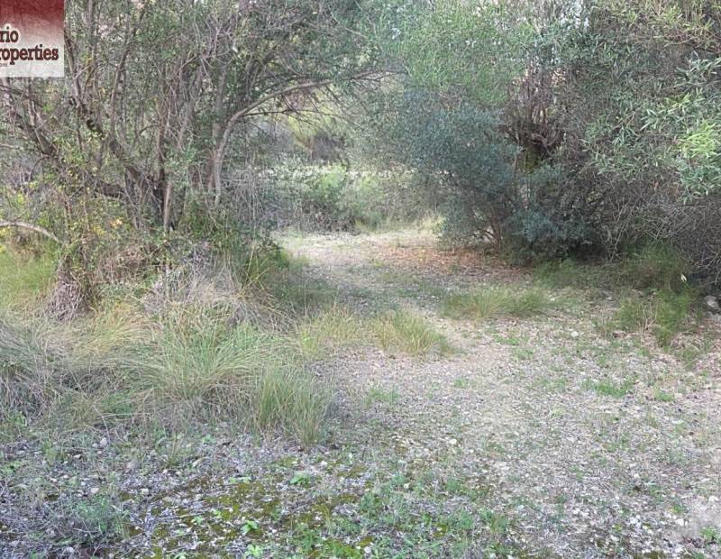 Sale - Plot of land - Beniarda